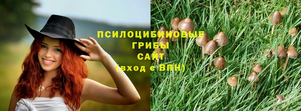 дживик Гусь-Хрустальный