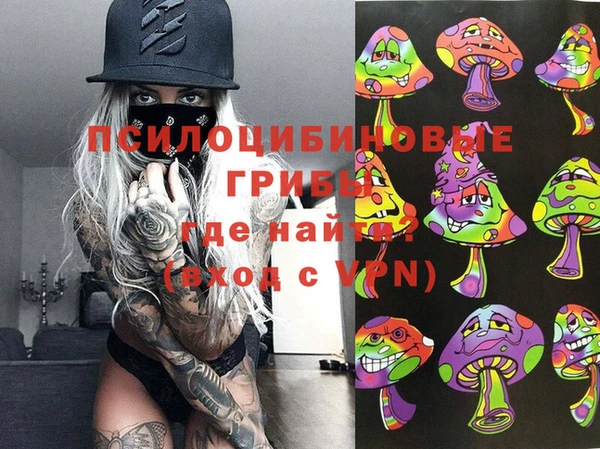 дживик Гусь-Хрустальный
