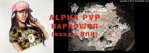 дживик Гусь-Хрустальный