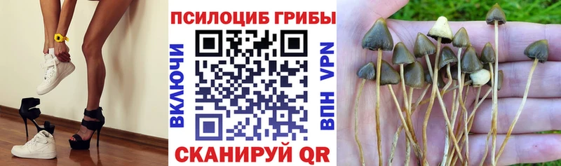 Галлюциногенные грибы Cubensis  Новотроицк 